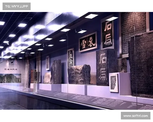 汉中盾：中心对策