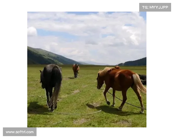 草原之王野马的攻略秘籍：捕捉、驯服与骑乘